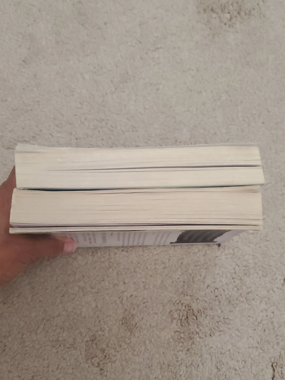Dragoneer Academy Novels